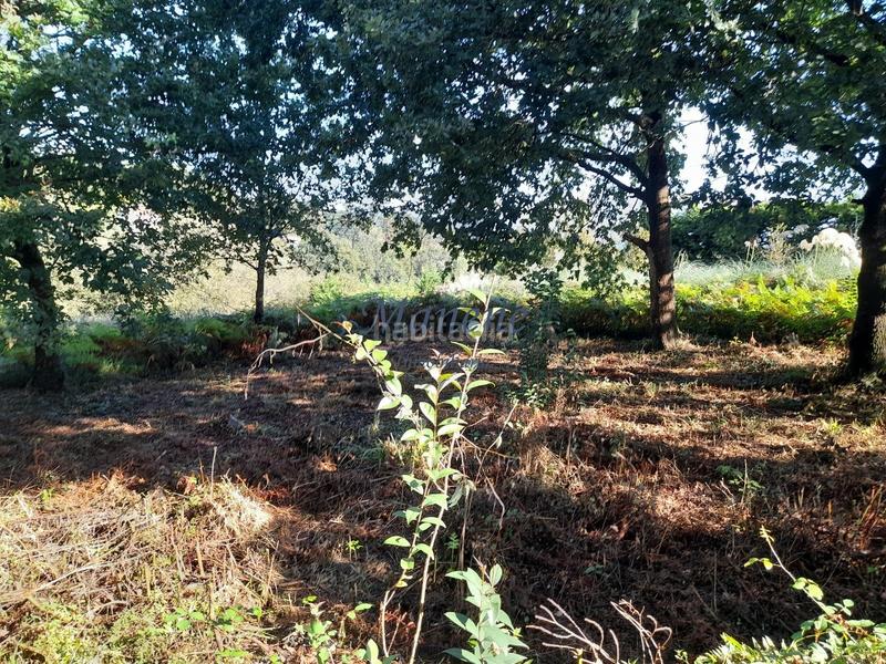 Foto 8a1f10a8-51f4-472a-b8d7-cca4c5443730. Terrain résidentiel dans Mungia