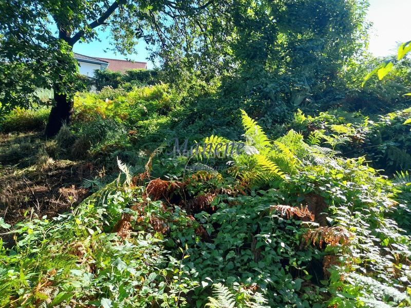 Foto 8d8460bc-7d80-4c19-a2b0-f5f8244d91ee. Terrain résidentiel dans Mungia