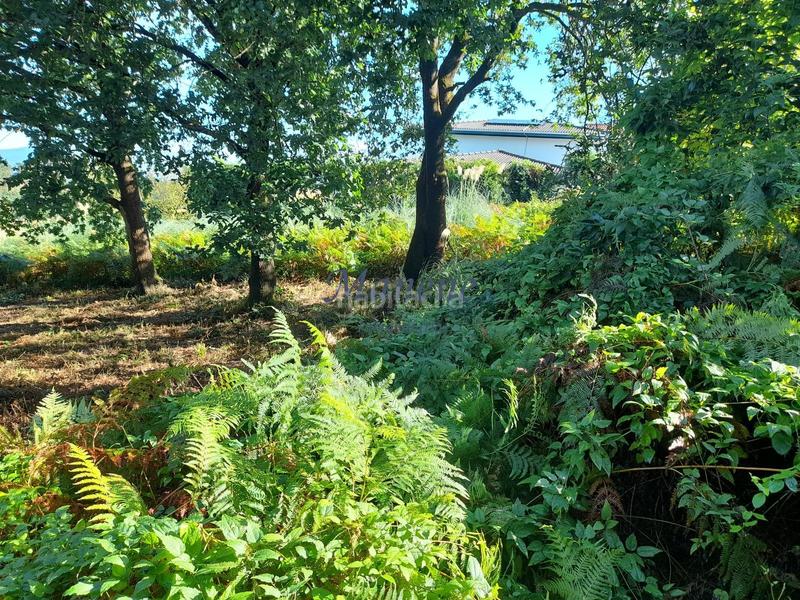 Foto 9115f97b-952e-4811-b0a1-2d6fa1fea8cb. Terrain résidentiel dans Mungia