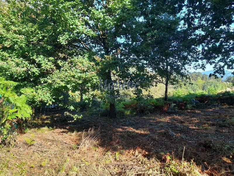 Foto 9843cacb-63ed-4777-a33d-cd77eee8c5fc. Terrain résidentiel dans Mungia