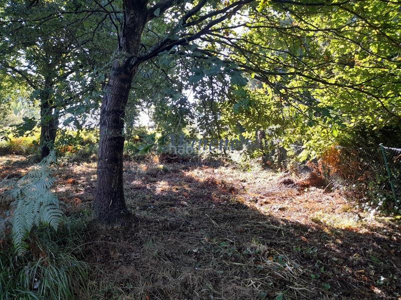 Foto 9ee3dc2b-ba86-4932-a8df-6b87b49ddf5c. Terrain résidentiel dans Mungia