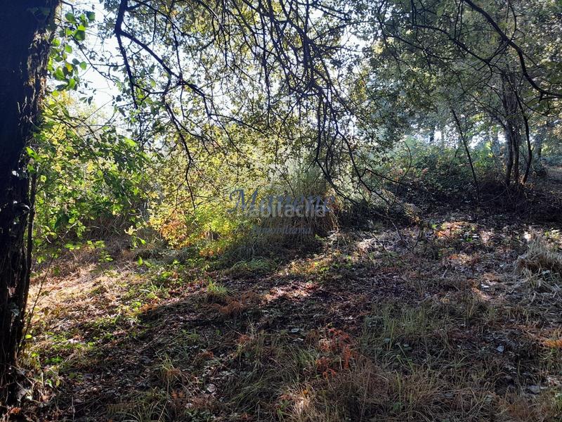 Foto a0cf15e1-c380-4956-9b01-02110bc5e65a. Terrain résidentiel dans Mungia