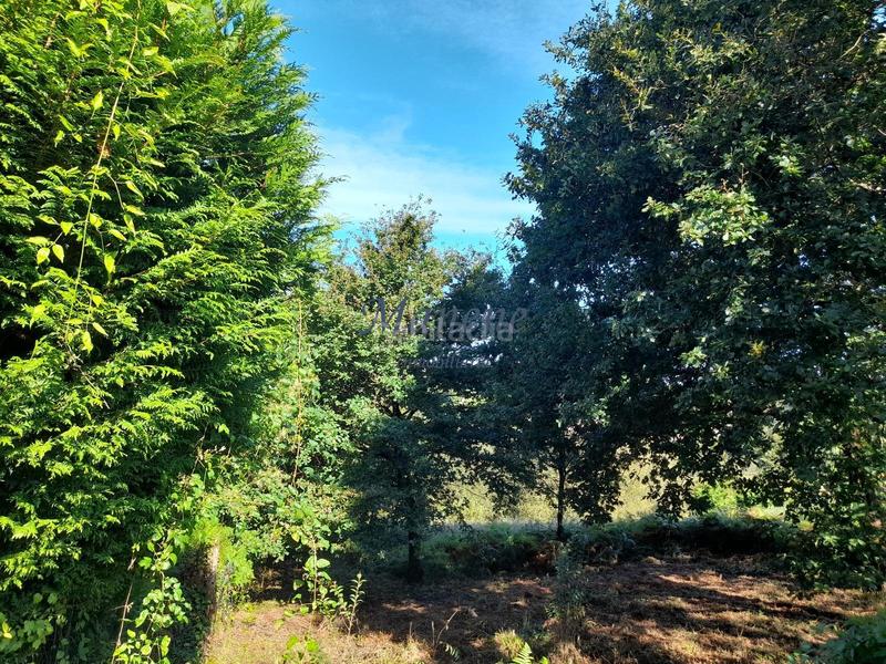 Foto c6efa5de-7886-4afb-93a3-e2c6ef9d82d3. Terrain résidentiel dans Mungia