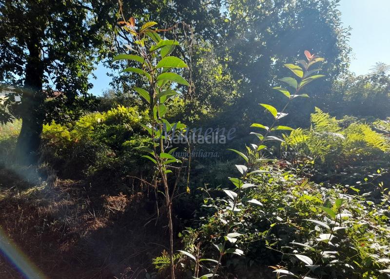 Foto d8fc0084-baa6-41c0-ae34-eb9da17abba1. Terrain résidentiel dans Mungia