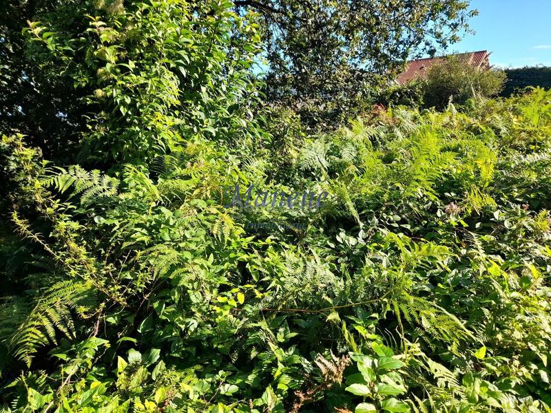 Foto ddfd15fb-1614-436d-949d-dea2278665c7. Terrain résidentiel dans Mungia