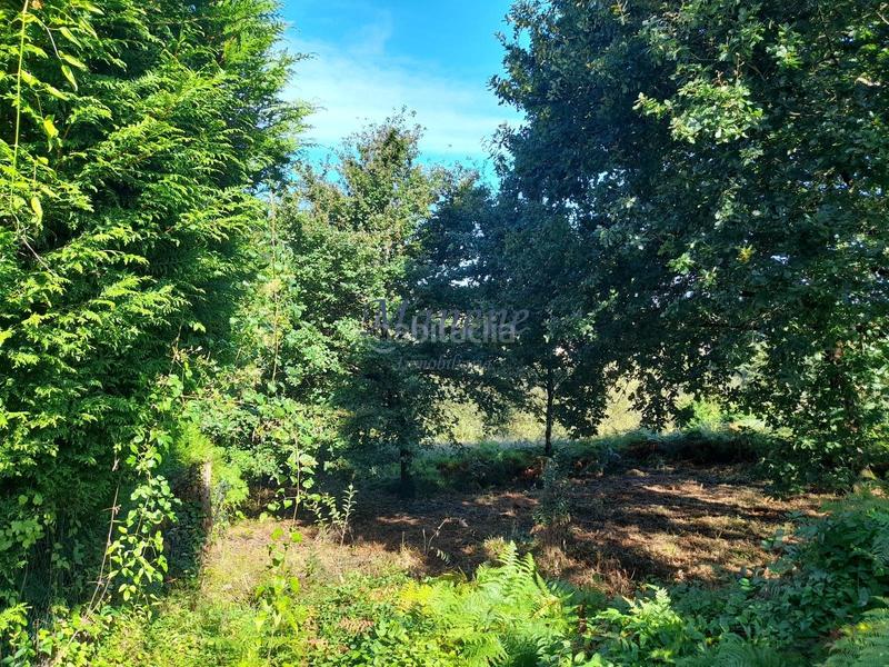 Foto e3d21cb1-8648-4c80-b786-22840dd6b61a. Terrain résidentiel dans Mungia