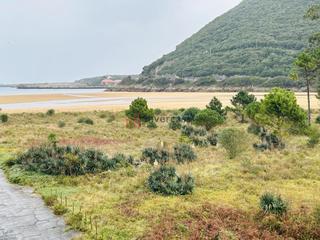 Pis a Barrio Oriñón