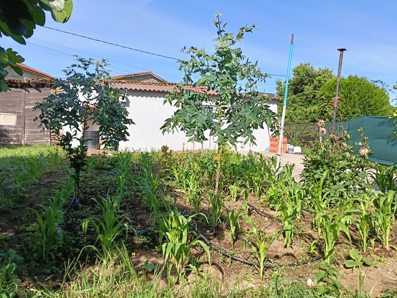 Foto 3a72fcb3-9383-45c6-8a5f-92be962e4a5d. Casa adossada a Carral