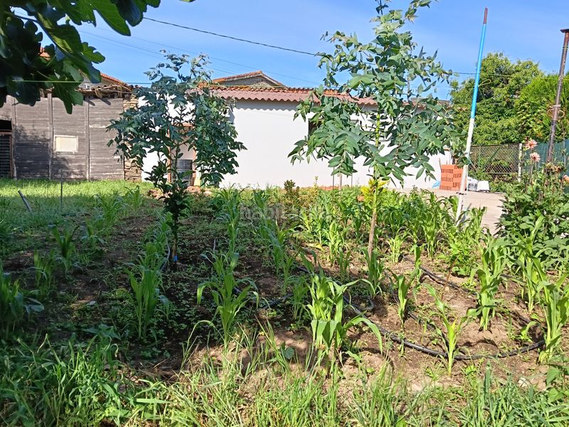 Foto 8e37b84f-ca38-4a0f-b97c-e000e3da499a. Casa adossada a Carral