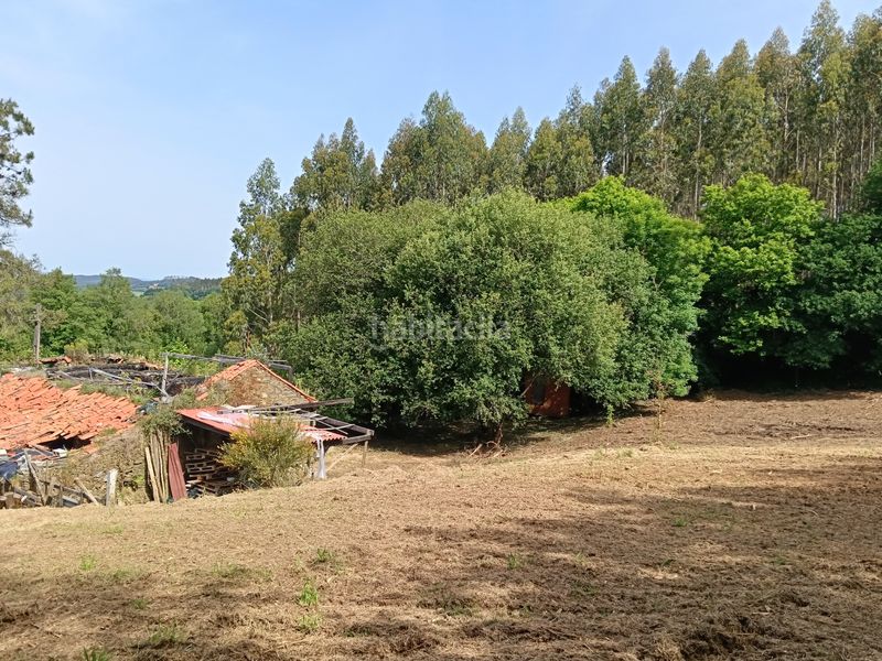 Foto fed7db40-b58f-49de-8d37-aa86aeb167b4. Casa amb aparcament a Cesuras