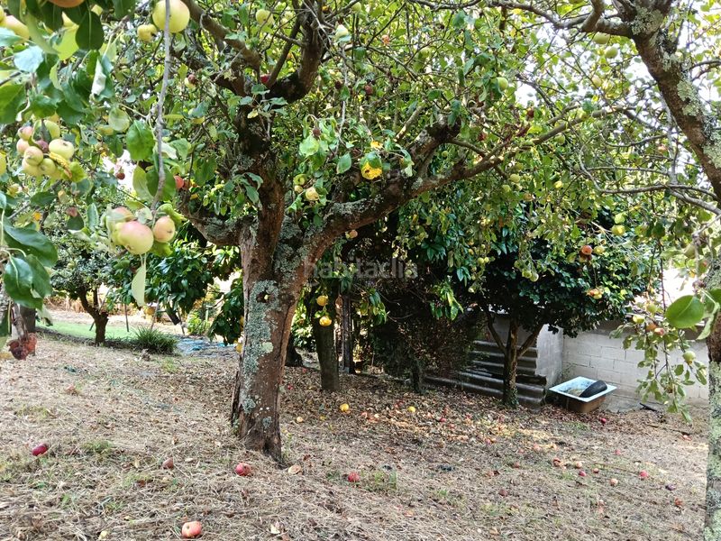 Foto 2f0577a8-9f04-4a26-9bad-720b84399b65. Casa a rúa saavedra meneses 87 a Betanzos