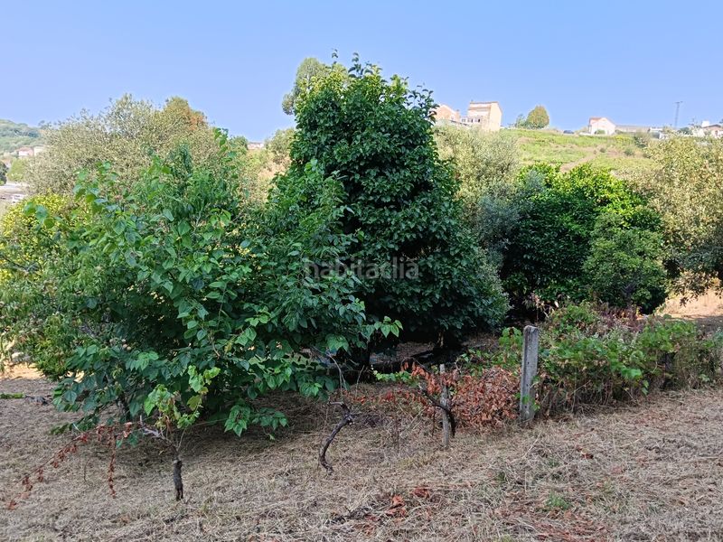 Foto 401e8a8a-c366-47e6-a7bc-9a5a17067488. Casa a rúa saavedra meneses 87 a Betanzos