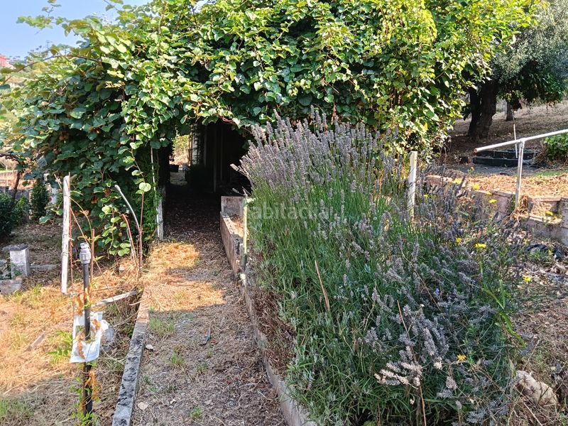 Foto a11db9f8-42bd-4c13-9783-73494300e914. Casa a rúa saavedra meneses 87 a Betanzos