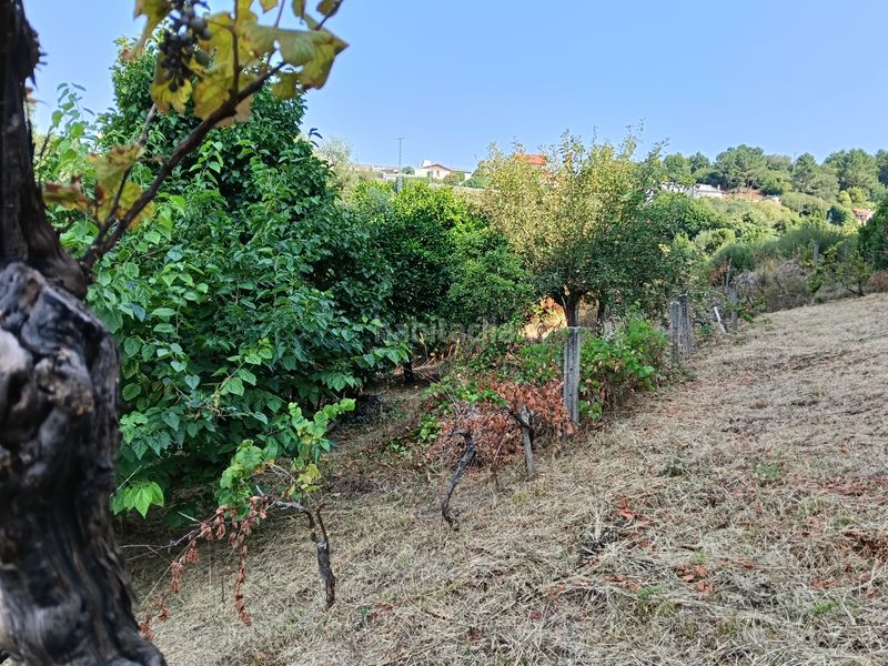 Foto df31d7e7-3c43-4e06-96fb-115dc18a4752. Casa a rúa saavedra meneses 87 a Betanzos