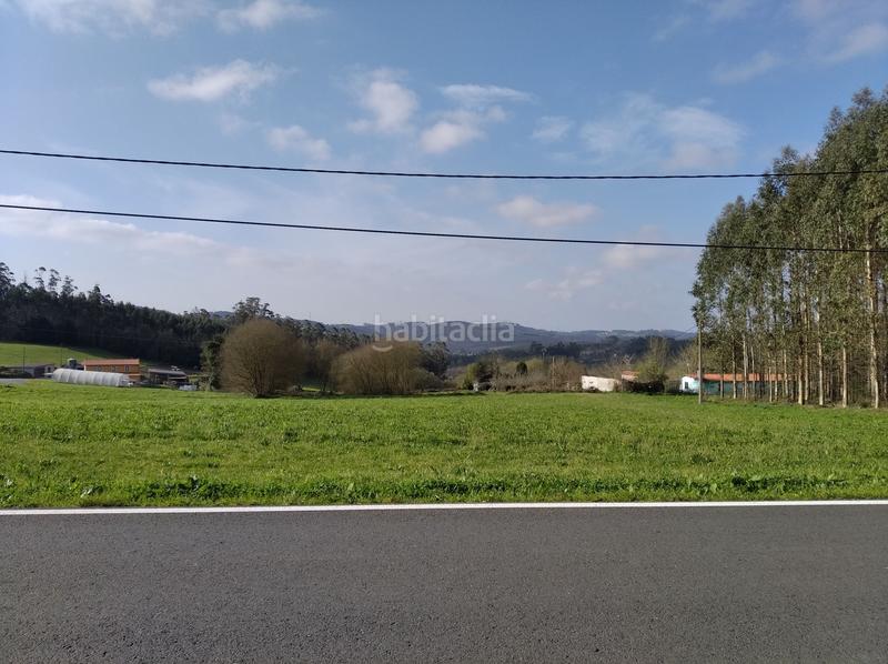 Foto fba973b3-4f1f-42c3-bec0-fa7974b492d3. Fondo rustico in Cesuras