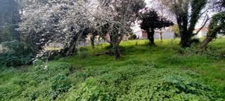 Terreno residenziale  Avenida barrié de la maza