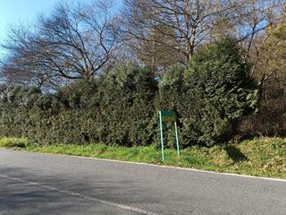 Terreno residenziale  Rúa loureiros