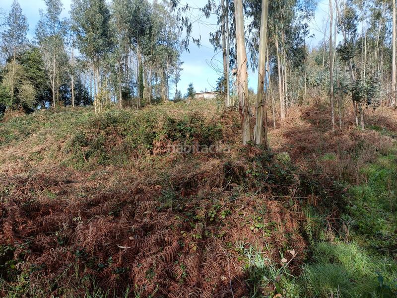 Foto 7269d6f1-c8b9-4cf9-a2e2-f5bbc6a55f09. Finca rústica en Oza dos Ríos