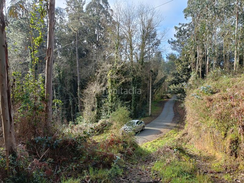 Foto 9ab4e1f2-d402-42e9-ba10-d829dff41dd4. Finca rústica en Oza dos Ríos