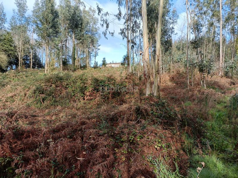 Foto a354ae15-223c-4d09-a7e4-2744b13ea04e. Finca rústica en Oza dos Ríos