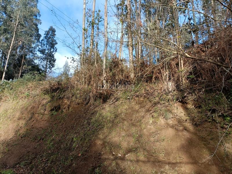 Foto be54af5e-ddb2-441c-a636-90d3db79f6c2. Finca rústica en Oza dos Ríos