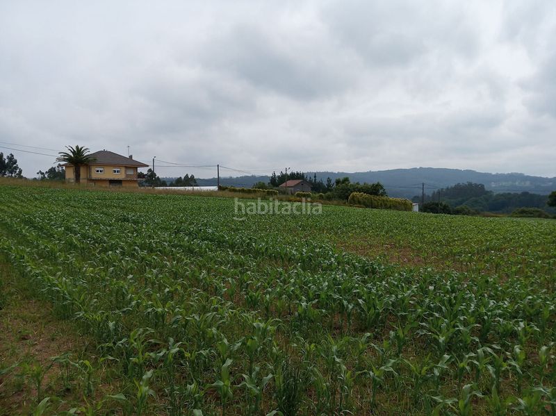 Foto d9a7e7b4-e700-40f6-9db1-c4690741fc2b. Wohngrundstück in Carballo