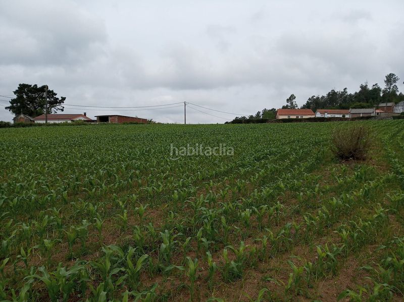 Foto f177c2fe-f9f5-4b06-b93c-4dc77c0d2d43. Wohngrundstück in Carballo
