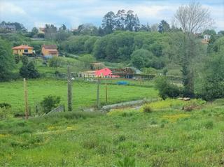 Wohngrundstück in Sada