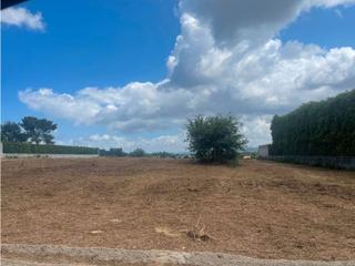 Residential Plot  San marcos
