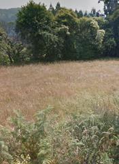 Terrain résidentiel  Coirós arriba