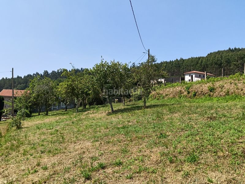 Foto 50f6676e-ae10-4750-9035-308628b89f76. Casa adossada amb aparcament a Cesuras