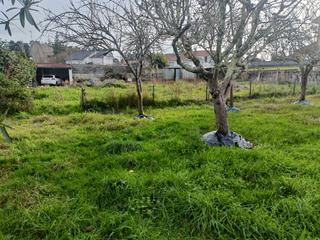 Residential Plot  Aldea samoedo