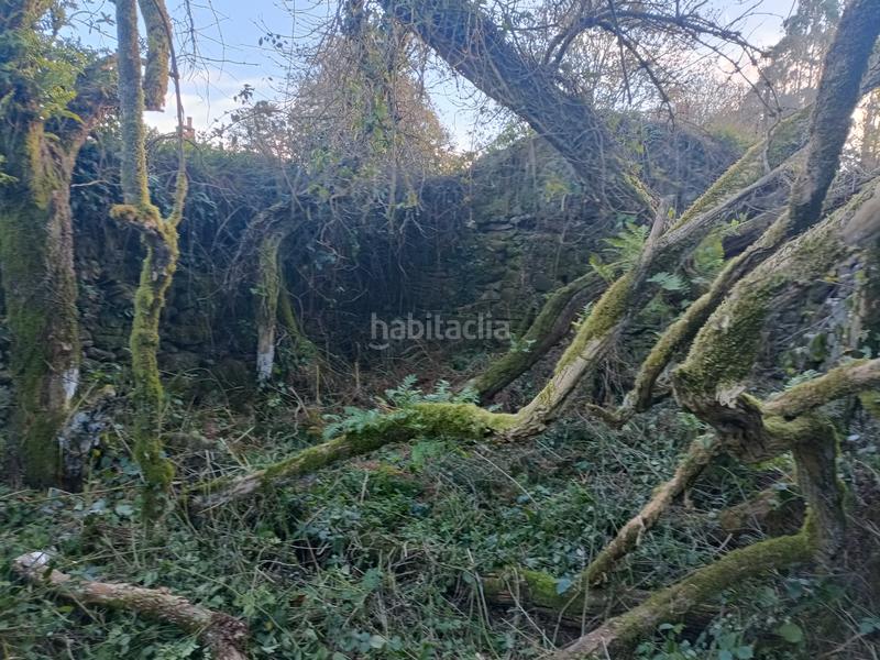 Foto 1ba1700d-22cb-4567-8db3-9e9769b3ff5a. House in Curtis