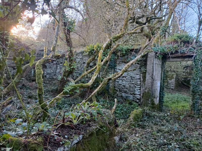 Foto e3923cf8-c15a-4a7a-82c4-dc3976b5146b. House in Curtis