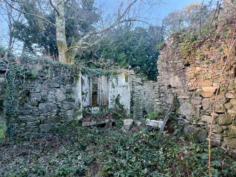 Foto edaf0c39-0f97-4c8c-be40-a115d126cf54. House in Curtis