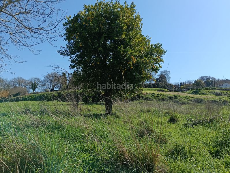 Foto e231fca2-50b3-4ea8-8afd-46e7c75f1897. Casa adossada a Oza dos Ríos