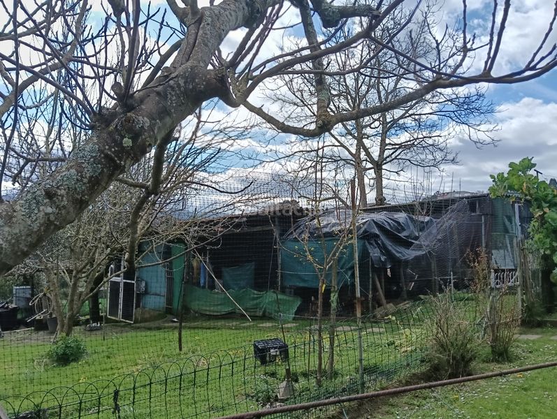 Foto cf056e57-976c-4593-ae08-b81ffc0eeef3. Casa amb xemeneia calefacció aparcament a Oza dos Ríos