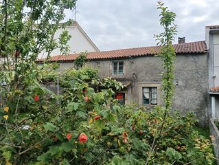 Maison jumelée à Loureiros 22