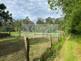 Rent Rural plot in Mos