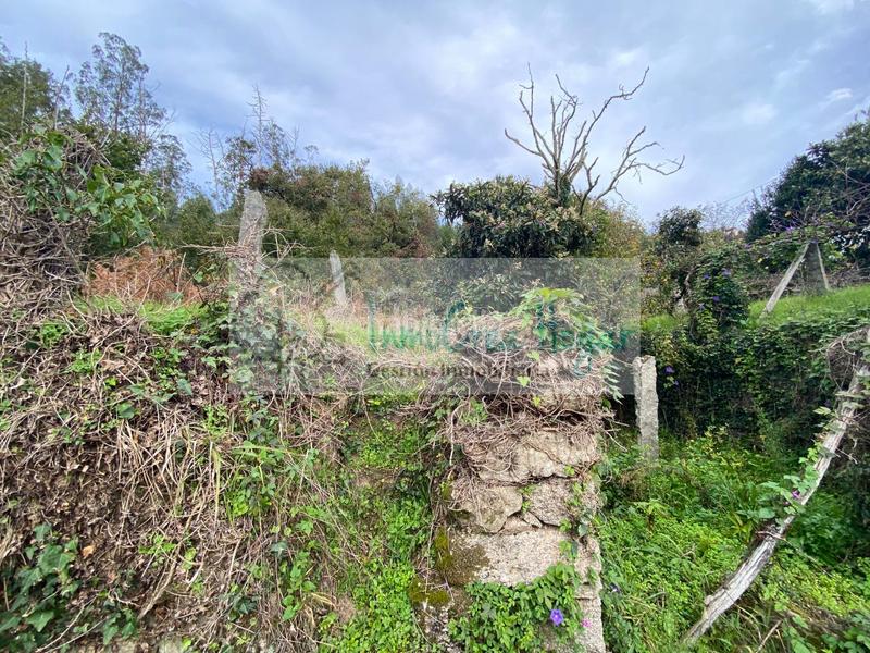 Foto 3af5ba09-86c8-443c-86c6-9d194d546c13. Finca rústica a Ponteareas