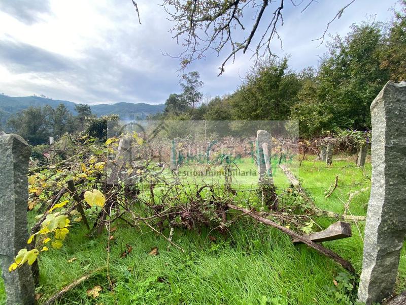 Foto 57211fa8-2173-41a3-b575-b61f748a726e. Finca rústica a Ponteareas