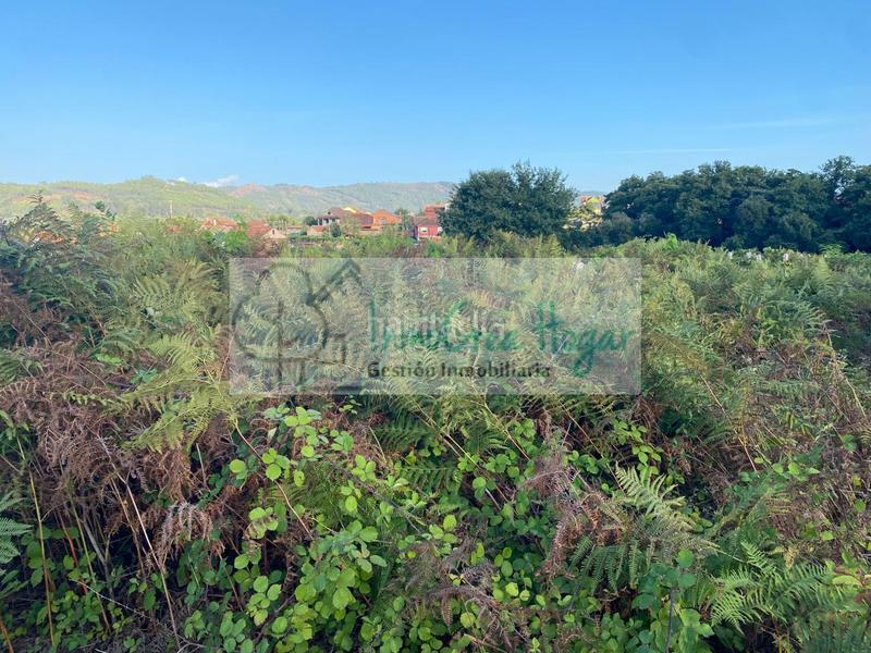 Foto d2e137bb-3a75-423a-9292-d9e75e996fbd. Wohngrundstück in Mos