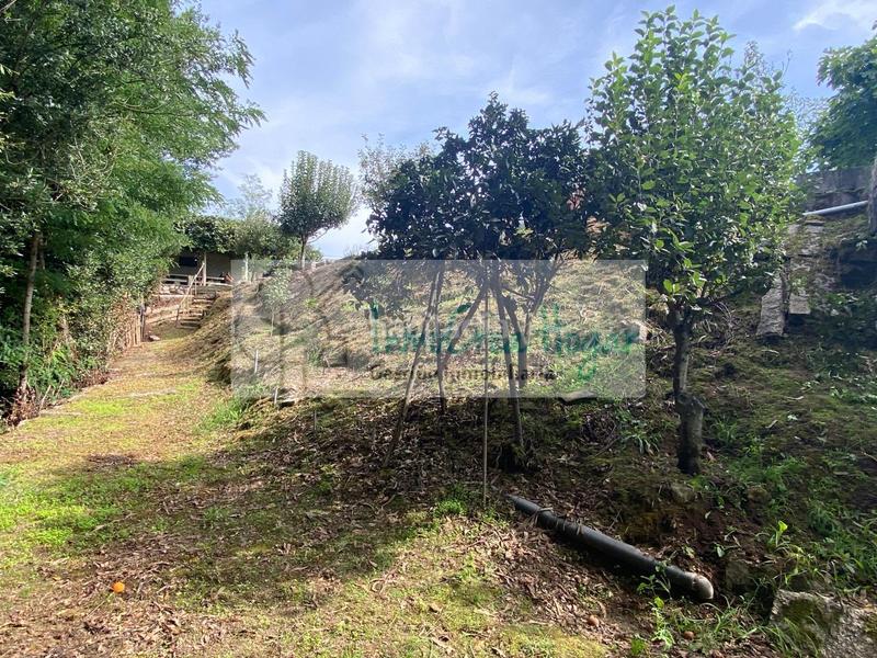 Foto 91bf6b69-8d98-4c9b-a0a2-b49ed0897c24. Chalet avec chauffage parking dans Porriño (O)