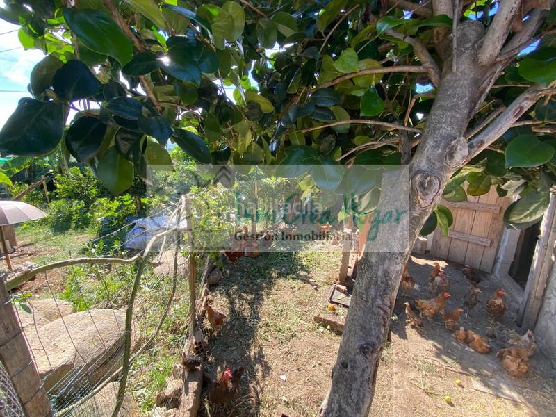 Foto ae67e92d-c6ee-4411-8d1d-93da67e62ac5. Casa amb calefacció aparcament a Salvaterra de Miño