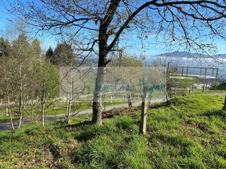 Residential Plot in Mos