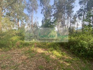 Rural plot in Salvaterra de Miño