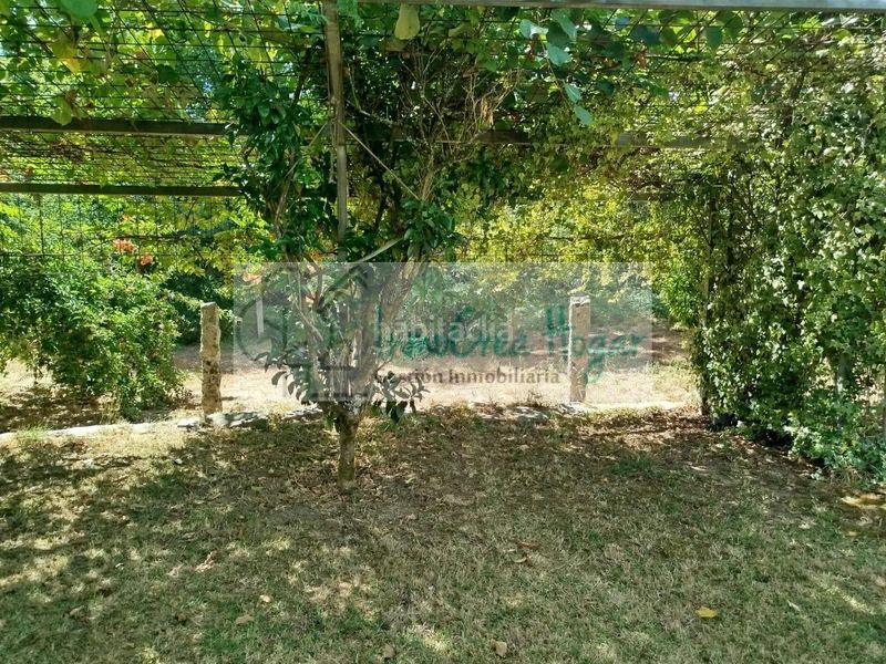 Foto 0ed05e05-0982-4598-9662-1e43a5020dd7. Finca rústica a Ponteareas