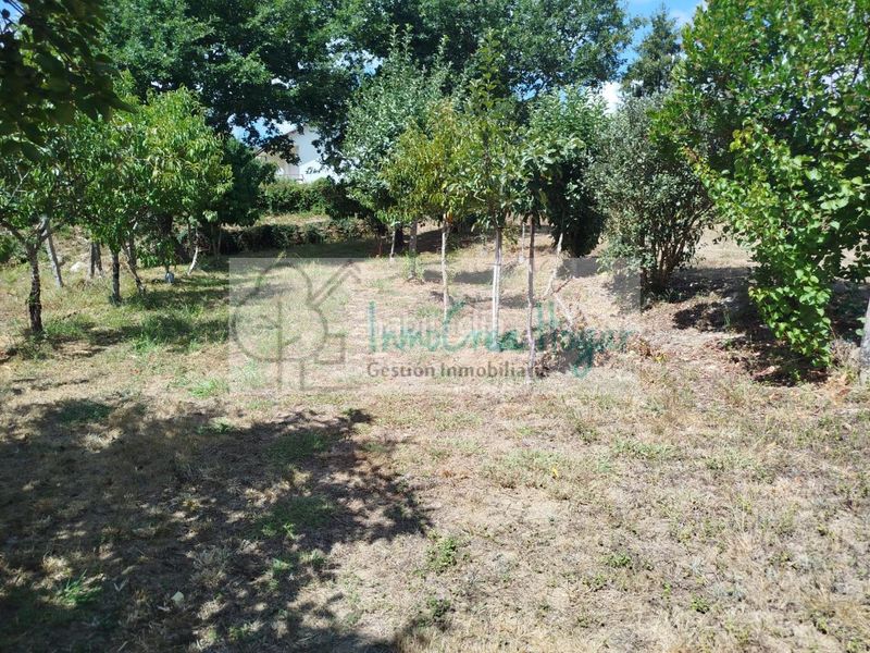 Foto 13ff8006-5a2d-4d56-a937-5e8a2d542449. Finca rústica a Ponteareas
