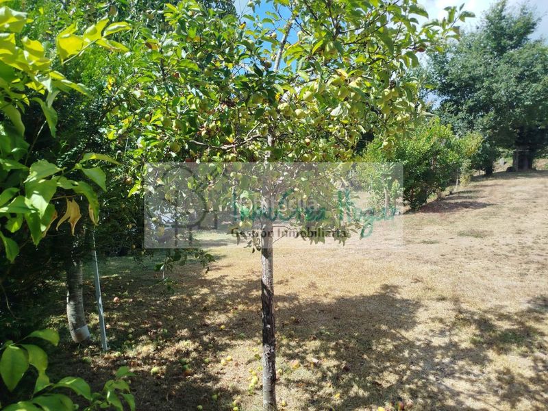 Foto 4bcd859b-05aa-4004-bee6-3e133194675a. Finca rústica a Ponteareas