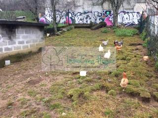 Fondo rustico in Mos